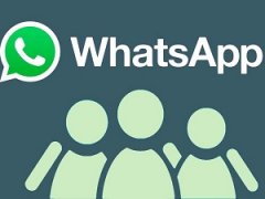 WhatsApp Viewer