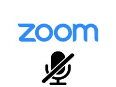 микрофон в Zoom