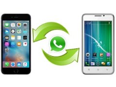 Как перенести все сообщения whatsapp на новый телефон с Андроид. Даже без компьютера?