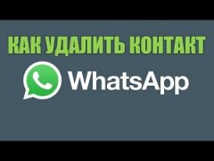 Как удалить контакт из WhatsApp