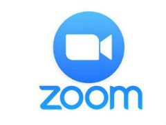 Камера в Zoom