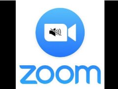 Что значит подключить звук в zoom